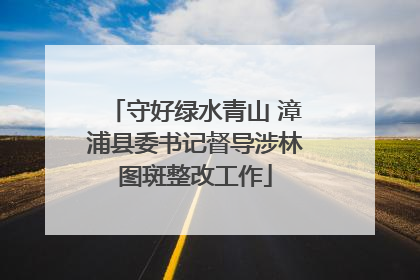 守好绿水青山 漳浦县委书记督导涉林图斑整改工作