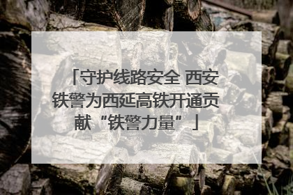 守护线路安全 西安铁警为西延高铁开通贡献“铁警力量”