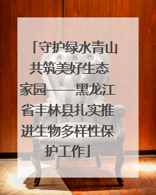 守护绿水青山 共筑美好生态家园——黑龙江省丰林县扎实推进生物多样性保护工作