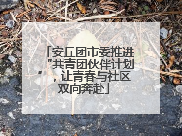安丘团市委推进“共青团伙伴计划”，让青春与社区双向奔赴