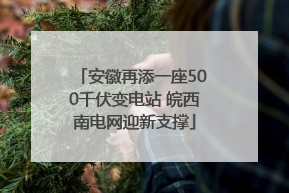 安徽再添一座500千伏变电站 皖西南电网迎新支撑