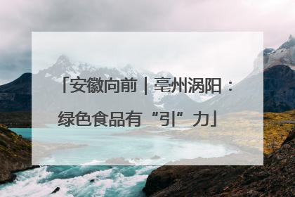 安徽向前｜亳州涡阳：绿色食品有“引”力