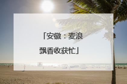 安徽：麦浪飘香收获忙