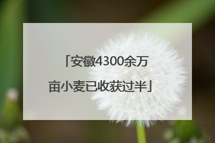 安徽4300余万亩小麦已收获过半