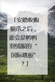 安踏收购狼爪之后，谁会是鸭鸭羽绒服的“国际跳板”？