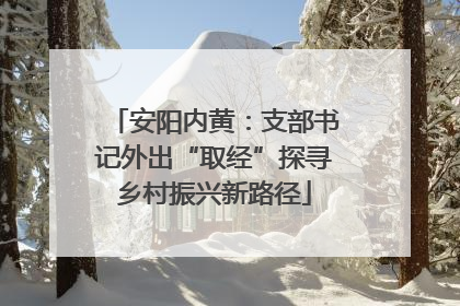 安阳内黄：支部书记外出“取经”探寻乡村振兴新路径