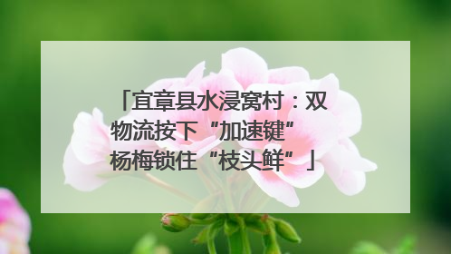 宜章县水浸窝村：双物流按下“加速键” 杨梅锁住“枝头鲜”
