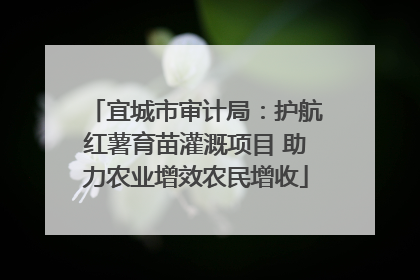 宜城市审计局：护航红薯育苗灌溉项目 助力农业增效农民增收