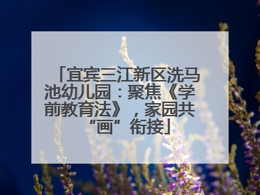 宜宾三江新区洗马池幼儿园：聚焦《学前教育法》，家园共“画”衔接