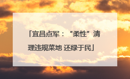 宜昌点军：“柔性”清理违规菜地 还绿于民
