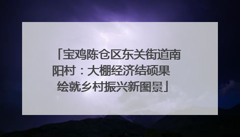 宝鸡陈仓区东关街道南阳村：大棚经济结硕果 绘就乡村振兴新图景