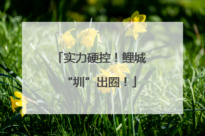 实力硬控！鲤城“圳”出圈！
