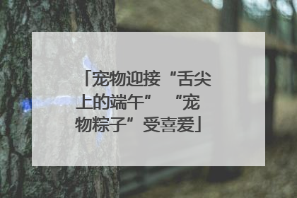宠物迎接“舌尖上的端午” “宠物粽子”受喜爱
