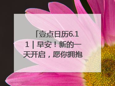 壹点日历6.11｜早安！新的一天开启，愿你拥抱希望，追逐梦想