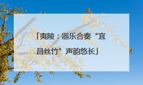 夷陵：器乐合奏“宜昌丝竹”声韵悠长