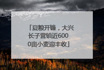 夏粮开镰，大兴长子营镇近6000亩小麦迎丰收