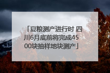 夏粮测产进行时 四川6月底前将完成4500块抽样地块测产