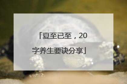 夏至已至，20字养生要诀分享