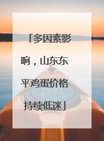 多因素影响，山东东平鸡蛋价格持续低迷