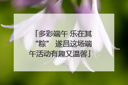 多彩端午 乐在其“粽” 遂昌这场端午活动有趣又温馨