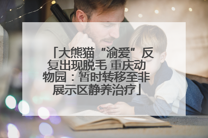 大熊猫“渝爱”反复出现脱毛 重庆动物园：暂时转移至非展示区静养治疗