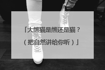 大熊猫是熊还是猫？（把自然讲给你听）