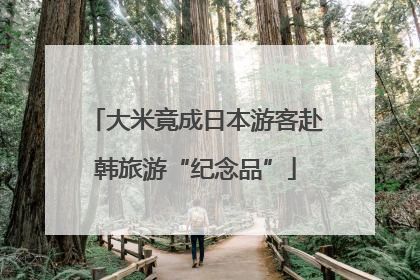 大米竟成日本游客赴韩旅游“纪念品”