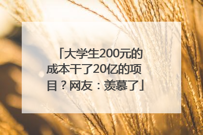 大学生200元的成本干了20亿的项目？网友：羡慕了