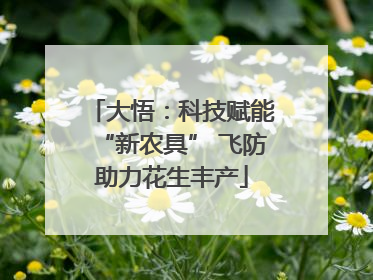 大悟：科技赋能“新农具” 飞防助力花生丰产