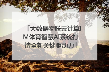 大数据物联云计算IM体育智慧AI系统打造全新关键驱动力