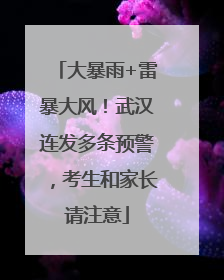 大暴雨+雷暴大风！武汉连发多条预警，考生和家长请注意