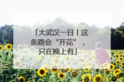 大武汉一日丨这条路会“开花”，只在晚上有