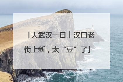 大武汉一日︱汉口老街上新，太“豆”了
