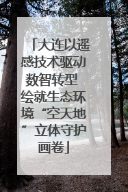 大连以遥感技术驱动数智转型 绘就生态环境“空天地”立体守护画卷