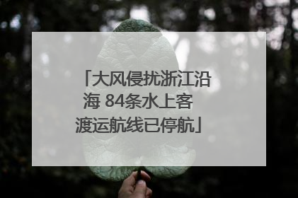 大风侵扰浙江沿海 84条水上客渡运航线已停航