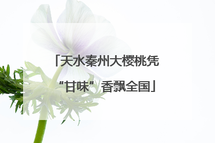 天水秦州大樱桃凭“甘味”香飘全国