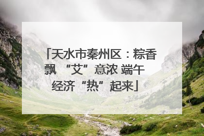 天水市秦州区：粽香飘 “艾”意浓 端午经济“热”起来