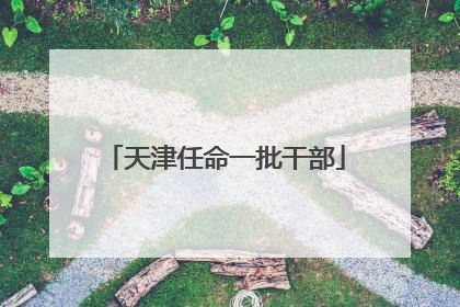 天津任命一批干部