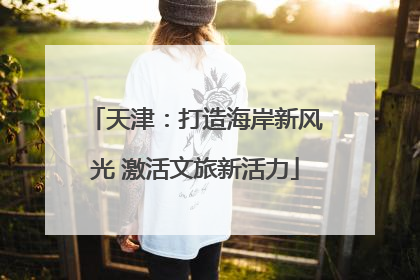 天津：打造海岸新风光 激活文旅新活力