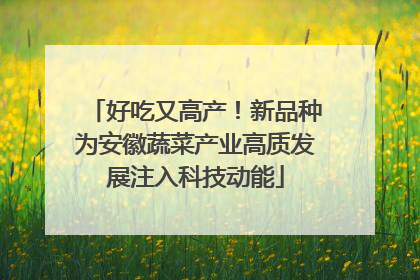 好吃又高产！新品种为安徽蔬菜产业高质发展注入科技动能