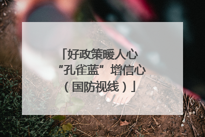 好政策暖人心 “孔雀蓝”增信心（国防视线）