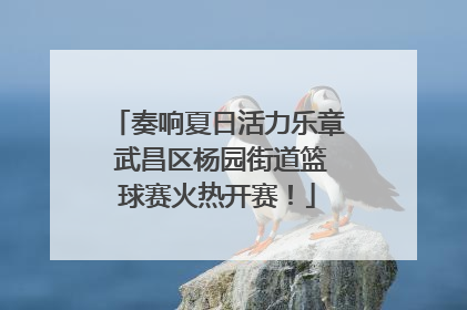 奏响夏日活力乐章 武昌区杨园街道篮球赛火热开赛！