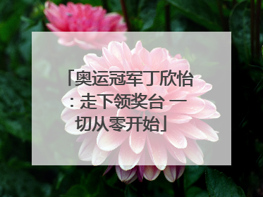 奥运冠军丁欣怡：走下领奖台 一切从零开始