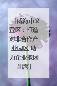 威海市文登区：打造对非合作产业园区 助力企业抱团出海