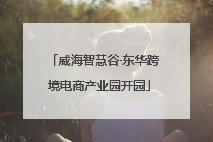 威海智慧谷·东华跨境电商产业园开园