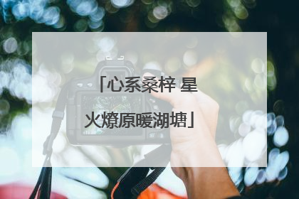 心系桑梓 星火燎原暖湖塘