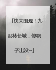 快来围观！九眼楼长城，傻狍子出没~