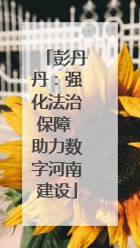 彭丹丹：强化法治保障 助力数字河南建设