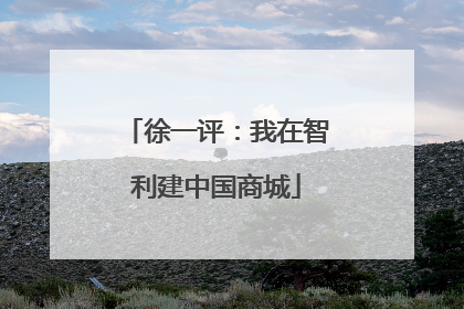 徐一评：我在智利建中国商城