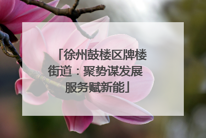 徐州鼓楼区牌楼街道：聚势谋发展 服务赋新能